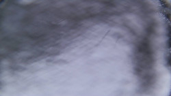 Bílá - běžecká trať