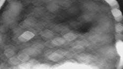 Bílá - běžecká trať