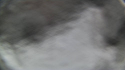 Bílá - běžecká trať