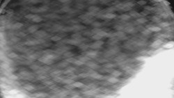 Bílá - běžecká trať