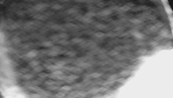 Bílá - běžecká trať