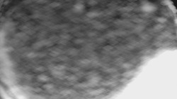 Bílá - běžecká trať