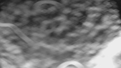 Bílá - běžecká trať