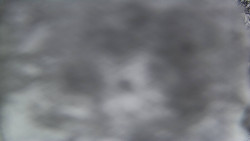 Bílá - běžecká trať