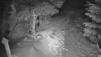 Snímek    23.11.2025 v 18:00