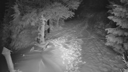 Bílá - běžecká trať