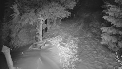 Bílá - běžecká trať