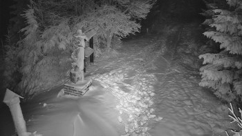 Snímek 23.11.2025 v 23:30