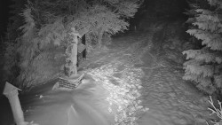 Bílá - běžecká trať