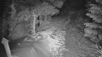 Snímek    24.11.2025 v 04:30