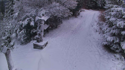 Bílá - běžecká trať