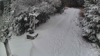 Snímek    24.11.2025 v 11:00