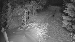 Bílá - běžecká trať