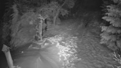 Bílá - běžecká trať