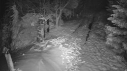 Bílá - běžecká trať