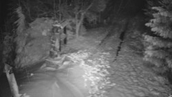 Bílá - běžecká trať