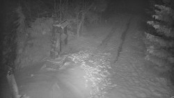 Bílá - běžecká trať