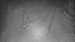 Bílá - běžecká trať