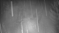 Bílá - běžecká trať