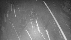 Bílá - běžecká trať