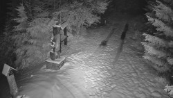 Bílá - běžecká trať