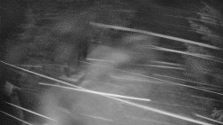 Bílá - běžecká trať