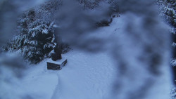 Bílá - běžecká trať