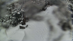 Bílá - běžecká trať