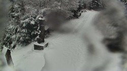 Bílá - běžecká trať