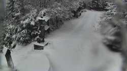 Bílá - běžecká trať