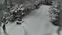 Bílá - běžecká trať