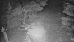 Bílá - běžecká trať