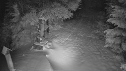 Bílá - běžecká trať