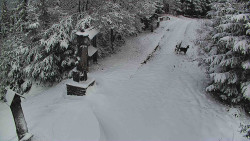 Bílá - běžecká trať