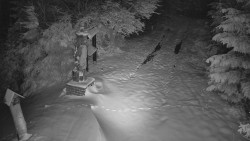 Bílá - běžecká trať