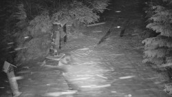 Bílá - běžecká trať