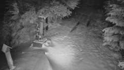 Bílá - běžecká trať