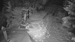 Bílá - běžecká trať