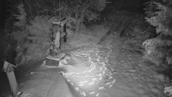 Bílá - běžecká trať