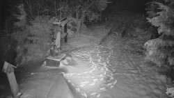 Bílá - běžecká trať