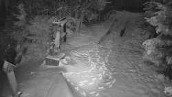 Bílá - běžecká trať