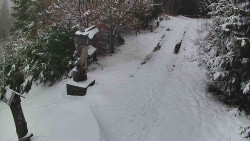 Bílá - běžecká trať