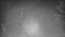 Bílá - běžecká trať