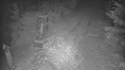 Bílá - běžecká trať