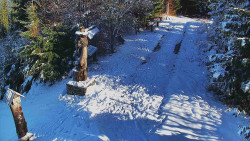 Bílá - běžecká trať