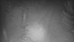 Bílá - běžecká trať