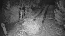 Bílá - běžecká trať