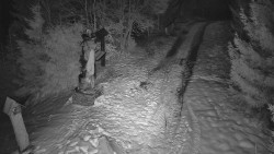 Bílá - běžecká trať