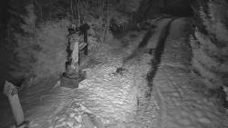 Bílá - běžecká trať