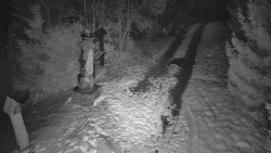 Bílá - běžecká trať